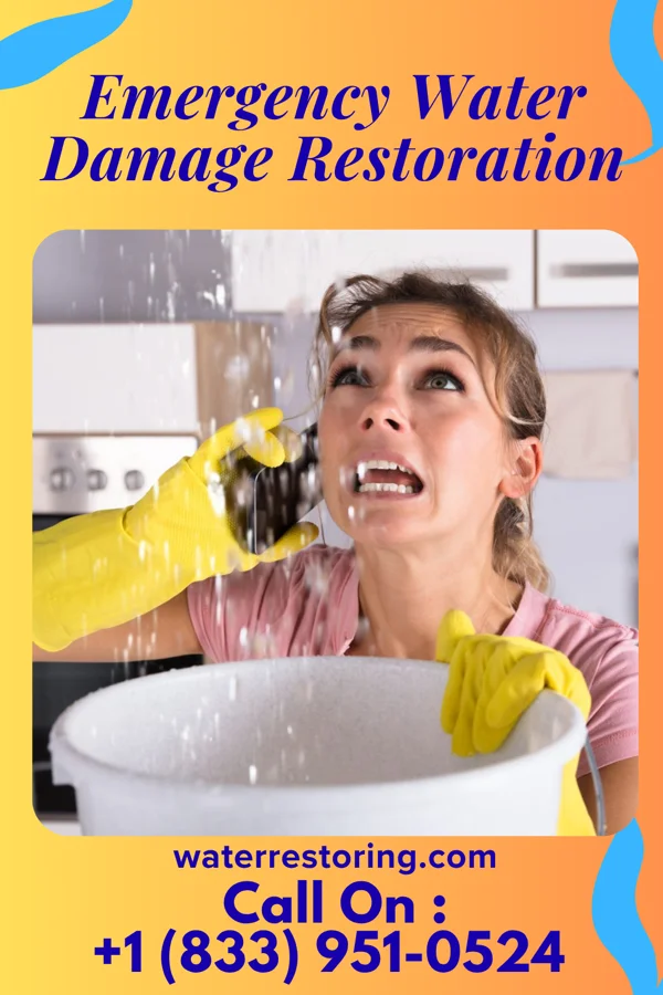 Emergency Water Damage Restoration in Hull, GA