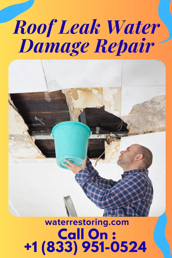 Roof Leak Water Damage Repair in Hull, GA